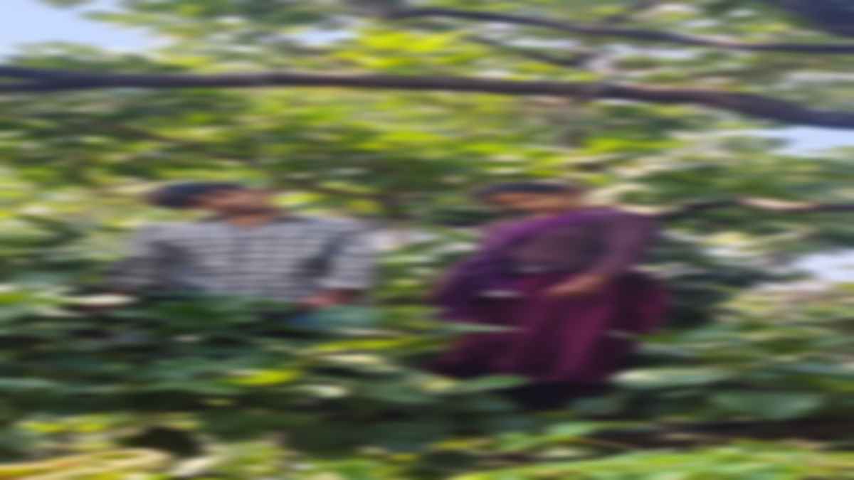 JHABUA NEWS : बड़ी खबर ! झाबुआ में एक ही परिवार के युवक युवती के पेड़ से लटके मिले शव, मचा हड़कप, जांच में जुटी पुलिस 